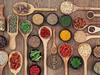 Genuss auf Tour 2026