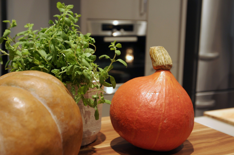 Vegetarisch für alle