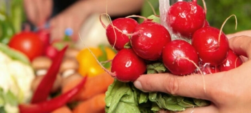 Vegetarische Heimatküche